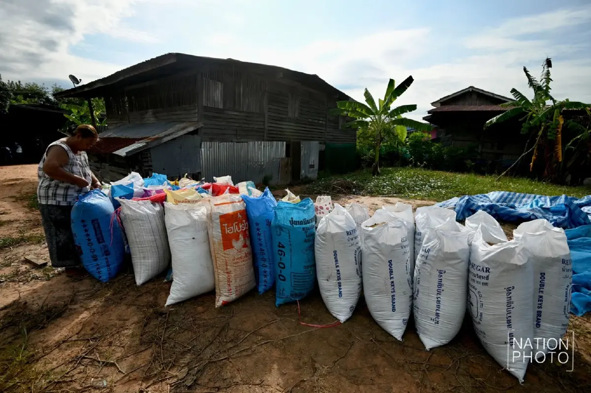 ชายแดนเดือด! ชาวนาหนองหญ้าแก้ว ยอมขาดทุน ตัดข้าวเขียว หนีปะทะซ้ำ