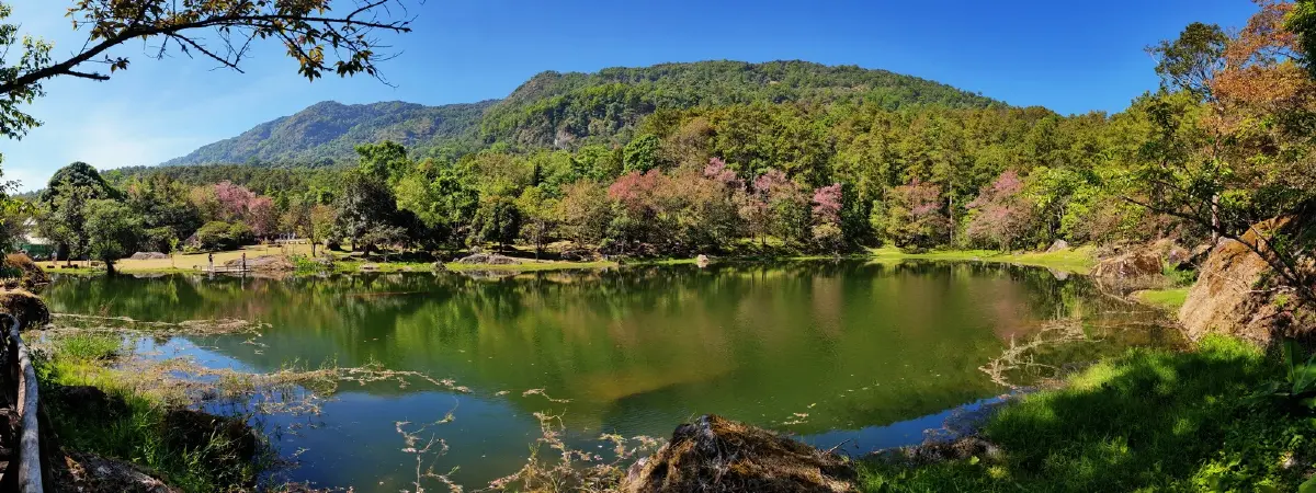 ด้วยพระบารมี... ‘รองเท้านารี’ จึงอยู่คู่ป่าไทย