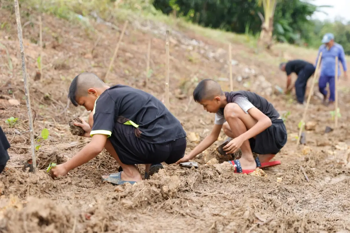 ซีพีแรม ขับเคลื่อน 'ป่า-คน-เศรษฐกิจ' เร่งปลูกป่า 1.2 แสนต้น-สร้างงาน 1,500 อัตรา