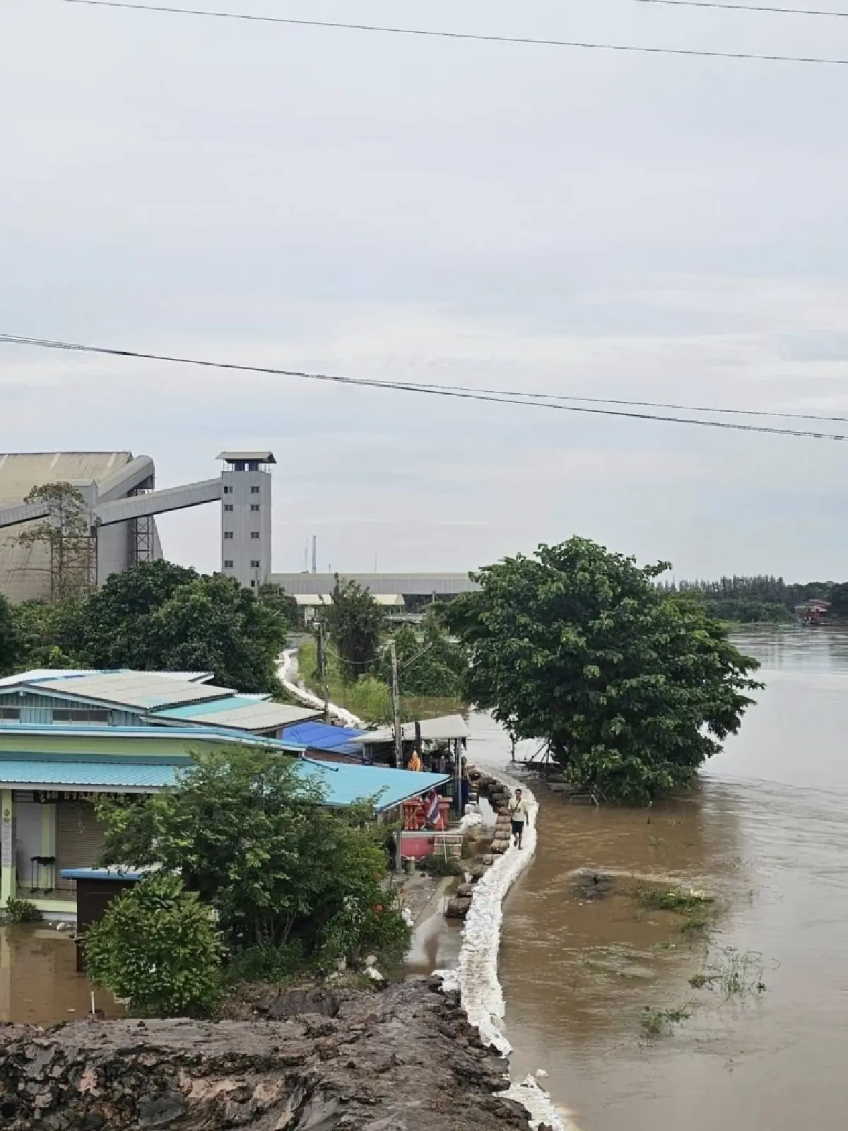 อพยพด่วน! คันดินแตกแล้ว น้ำเจ้าพระยา ไหลทะลักชุมชนป่าโมก อ่างทอง