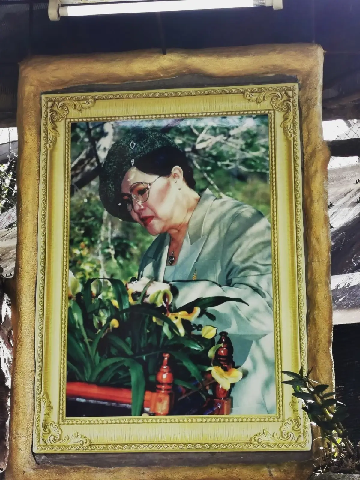 ด้วยพระบารมี... ‘รองเท้านารี’ จึงอยู่คู่ป่าไทย