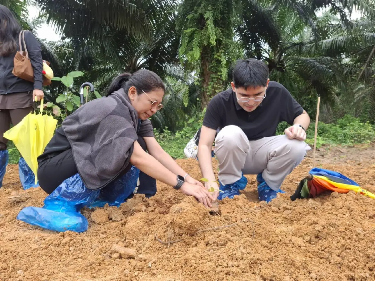 ซีพีแรม ขับเคลื่อน 'ป่า-คน-เศรษฐกิจ' เร่งปลูกป่า 1.2 แสนต้น-สร้างงาน 1,500 อัตรา