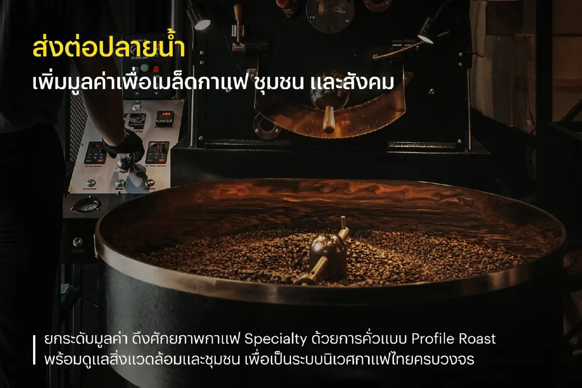 3 พันธมิตร เปิดศูนย์กาแฟ Specialty ยั่งยืน จ.เชียงใหม่ ดันผลผลิต ดึงเงินกลับประเทศ