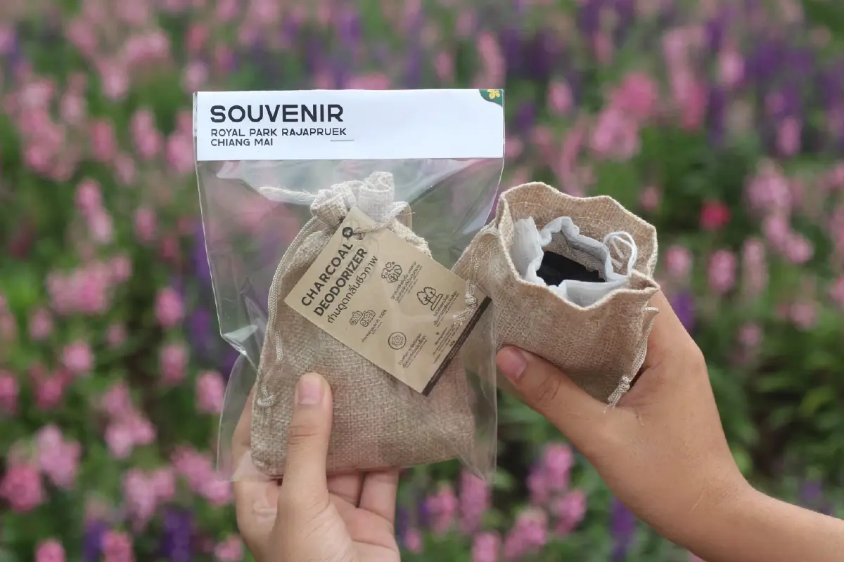 ความสุขบานสะพรั่งที่ 'อุทยานหลวงราชพฤกษ์' ชมดอนญ่าควีนสิริกิติ์