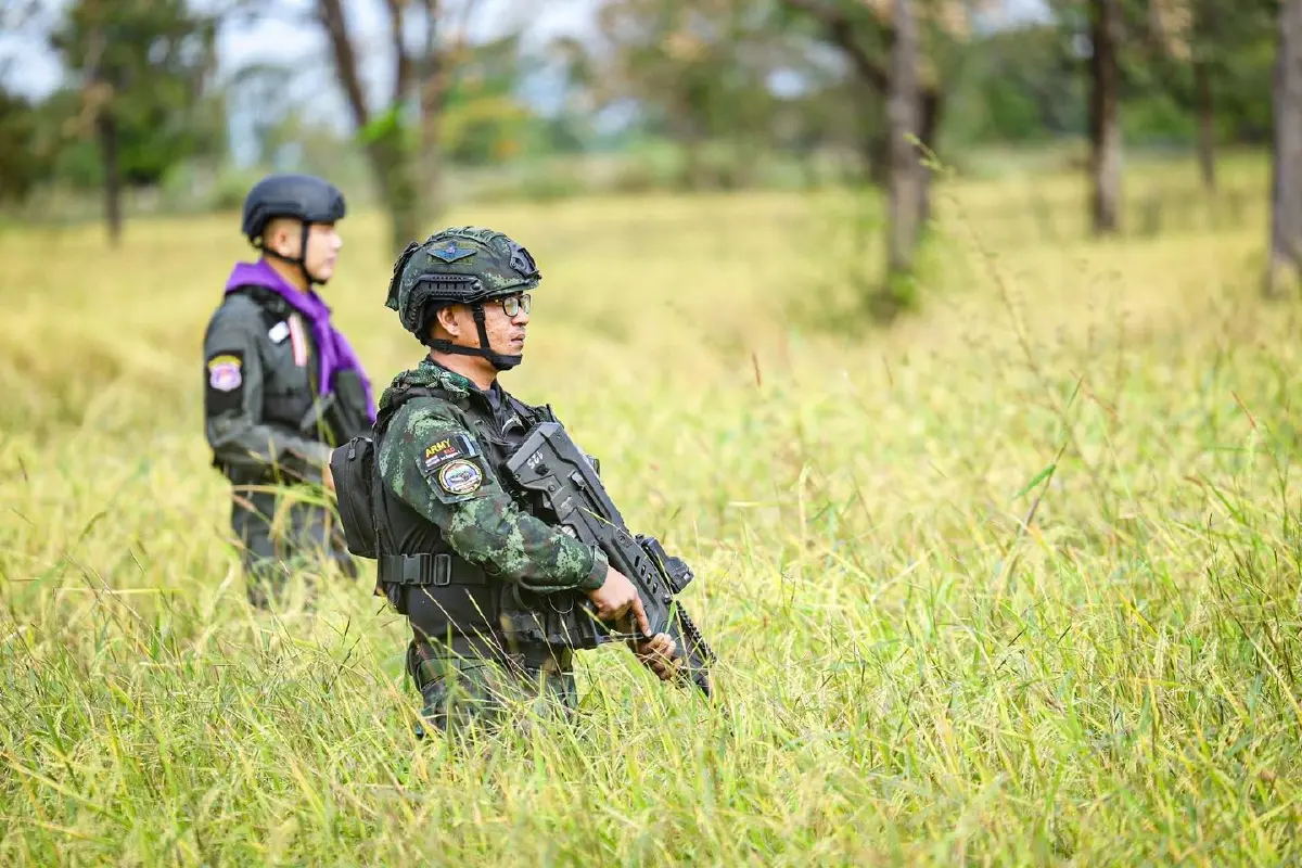 ทหารถือปืน-เกี่ยวข้าว ช่วยชาวนาชายแดนสระแก้ว ทบ.ย้ำอธิปไตยชาติ