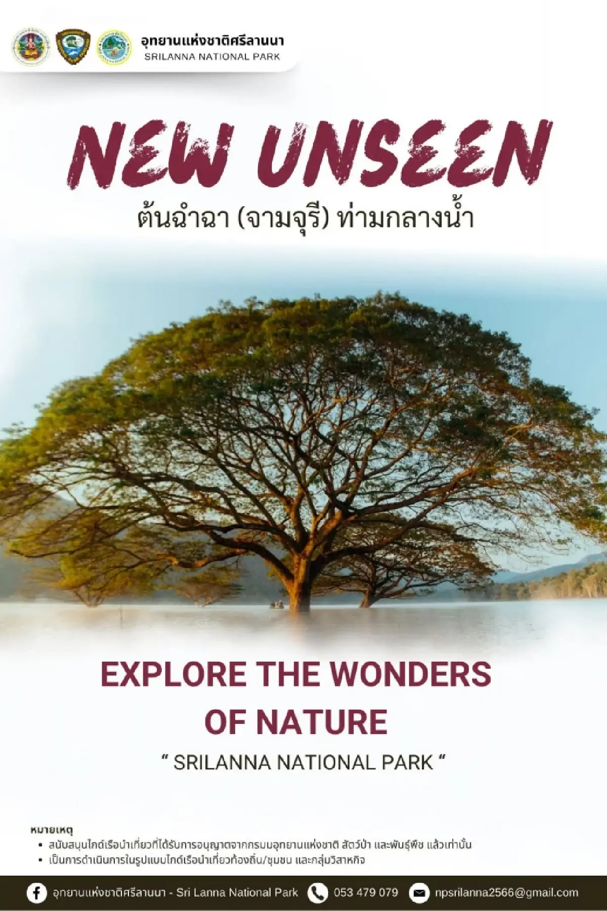 สุดอันซีน 'ต้นฉำฉากลางน้ำ' จุดเช็คอินใหม่กลางเขื่อนแม่งัดฯ เชียงใหม่