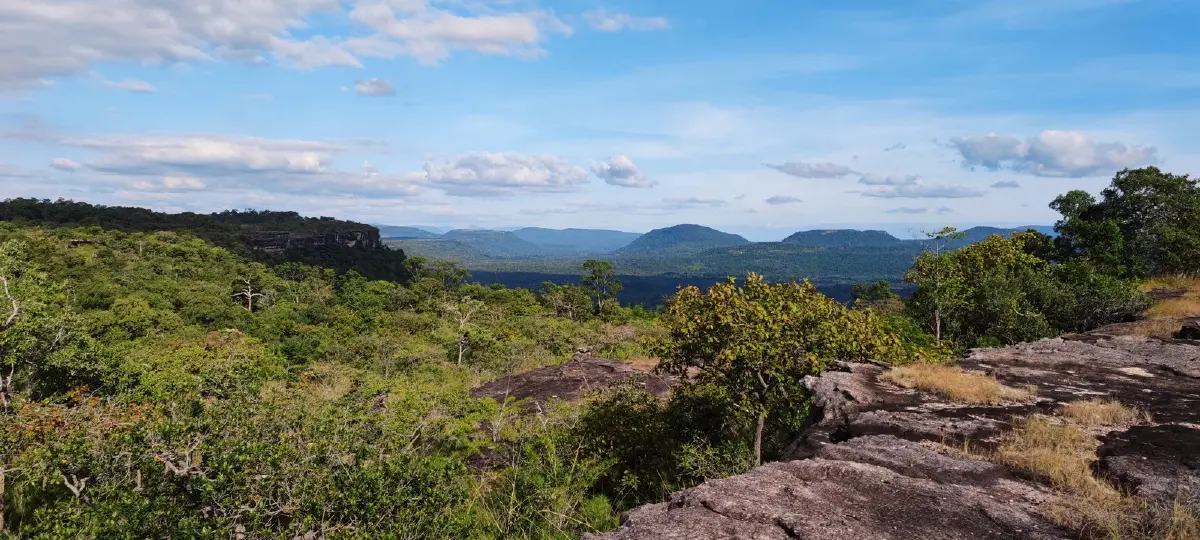 ลายแทง...ดูดอกไม้นามพระราชทาน 'สมเด็จพระพันปีหลวง'