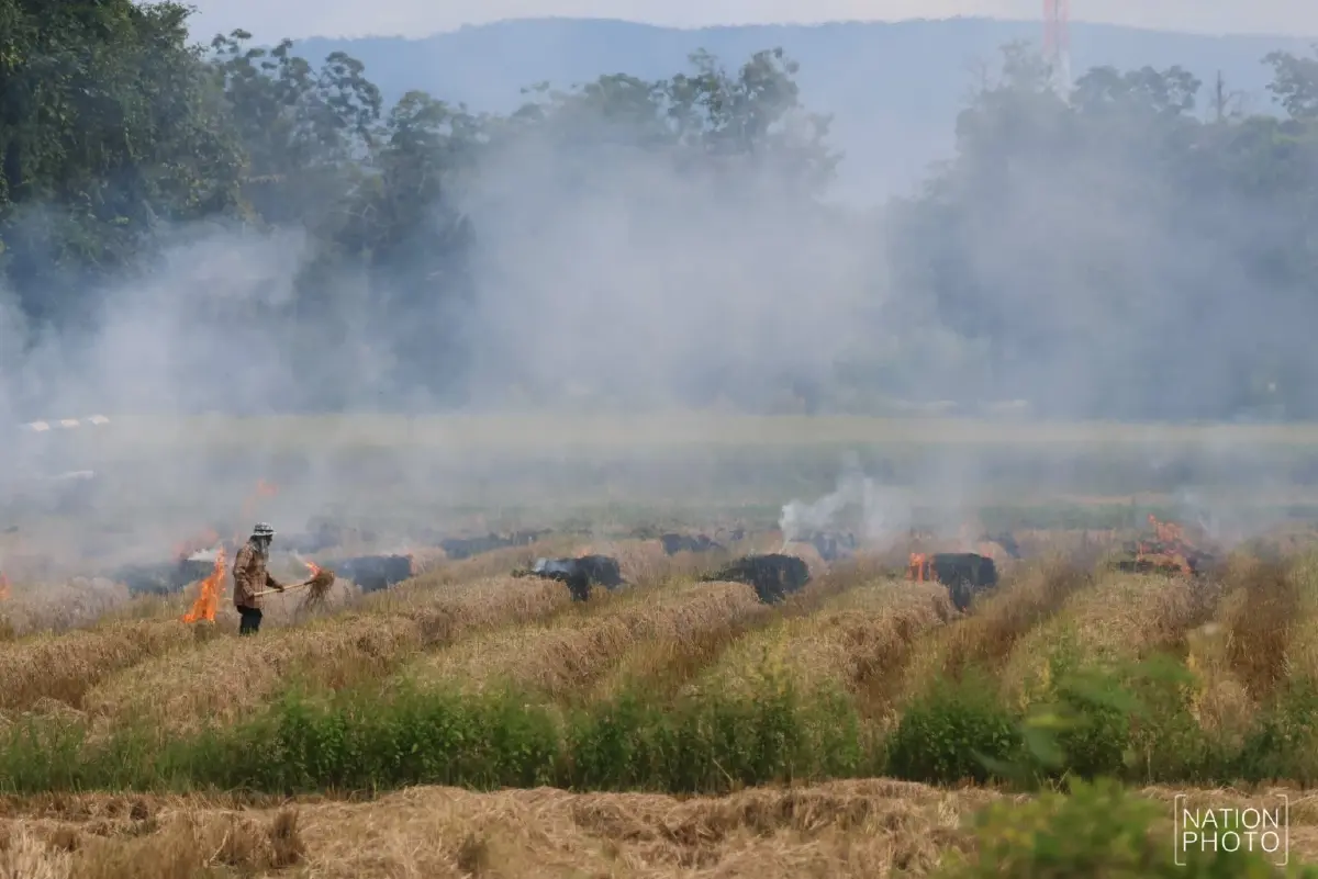 เผาไม่เลิก ฝุ่นพิษ PM2.5 จ่อซ้ำรอย เตรียมตัว ฤดูหนาวนี้หายใจลำบาก