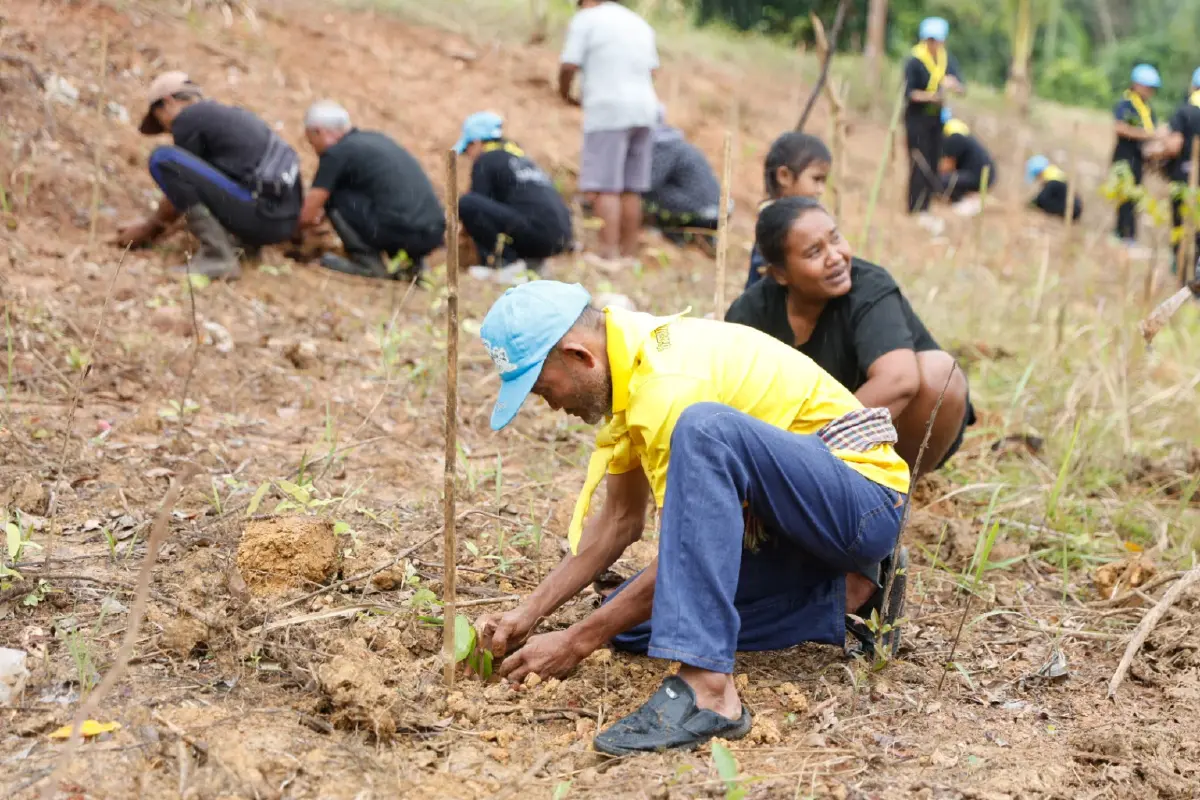 ซีพีแรม ขับเคลื่อน 'ป่า-คน-เศรษฐกิจ' เร่งปลูกป่า 1.2 แสนต้น-สร้างงาน 1,500 อัตรา