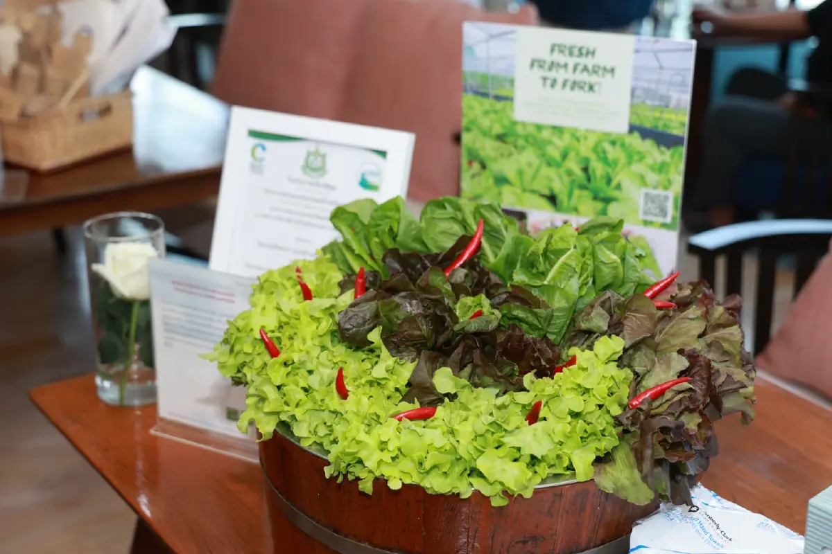 ‘เซ็นทารา’ กางโรดแมปท่องเที่ยวยั่งยืน ตอบโจทย์ ESG ทุกมิติ พร้อมเปิดภารกิจที่ต้องไปต่อ!