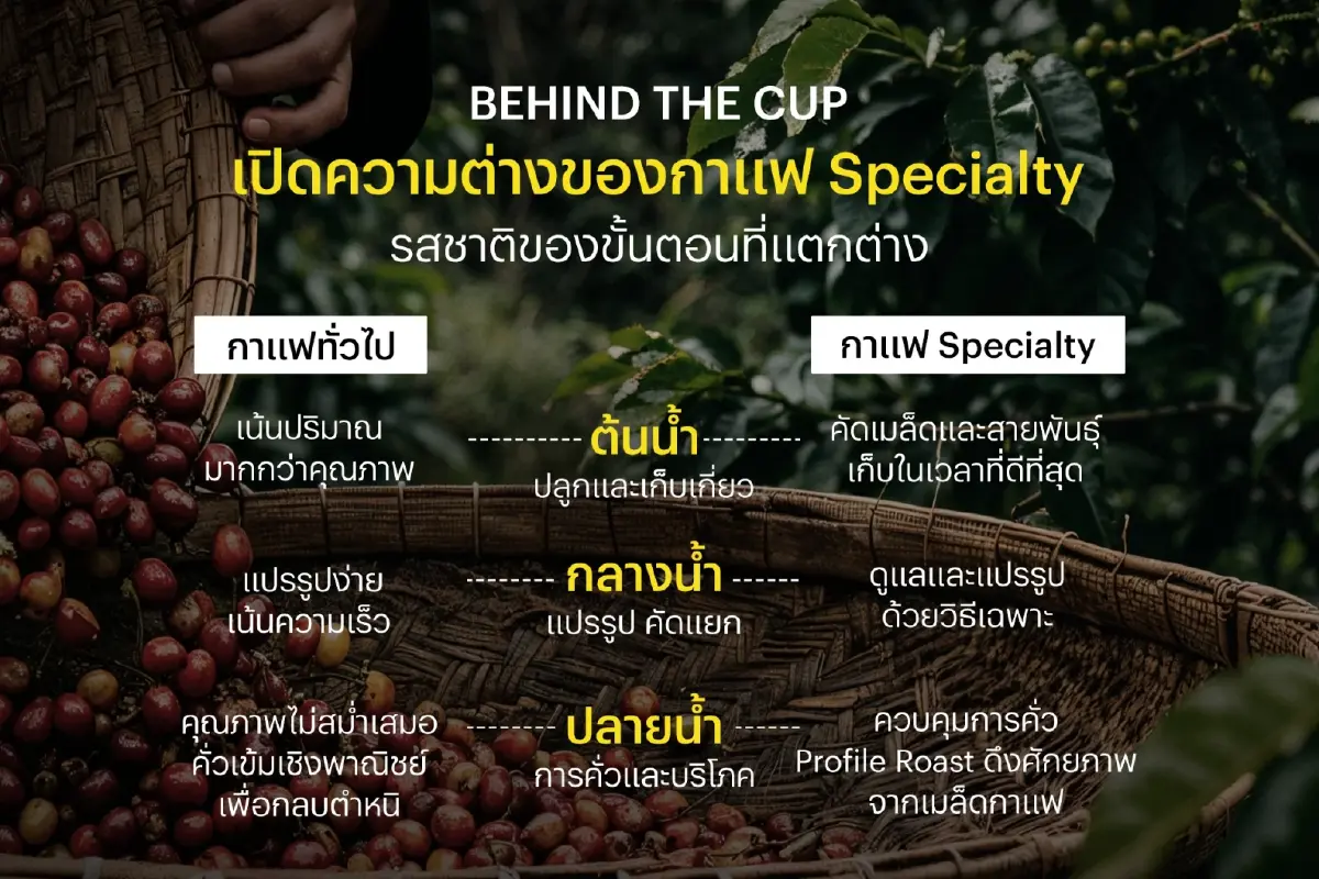 3 พันธมิตร เปิดศูนย์กาแฟ Specialty ยั่งยืน จ.เชียงใหม่ ดันผลผลิต ดึงเงินกลับประเทศ