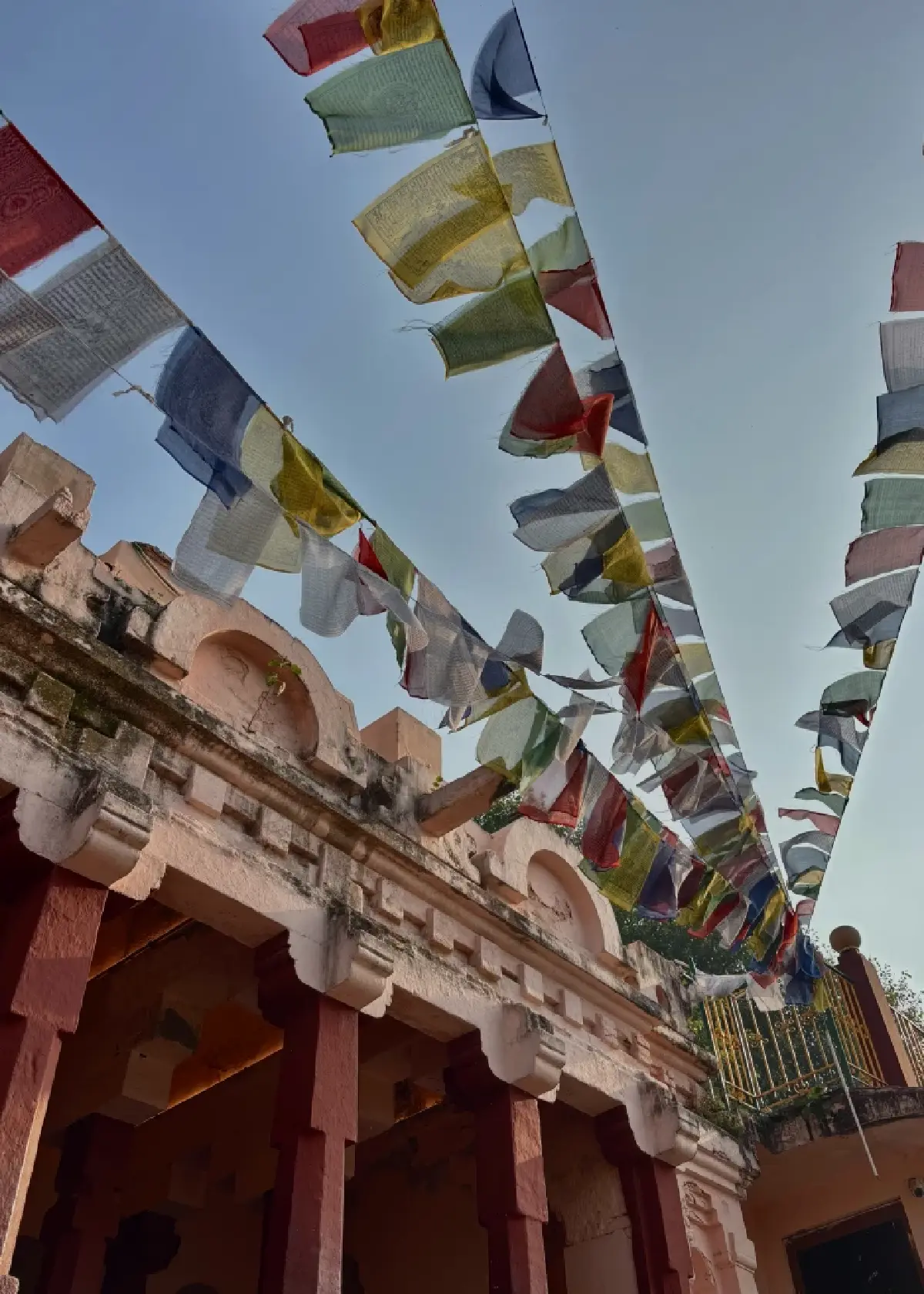 ‘คยา’ ต้นกำเนิดพุทธศาสนา เมืองแห่งศรัทธา สะพานเชื่อมสัมพันธ์ไทย-อินเดีย | World Wide View