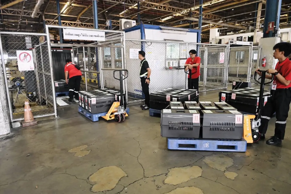 ไทยส่งไก่‘ Ayam Bangkok’ ไปอินโดนีเซียต่อเนื่อง มูลค่าสะสมกว่า 50 ล้านบาท