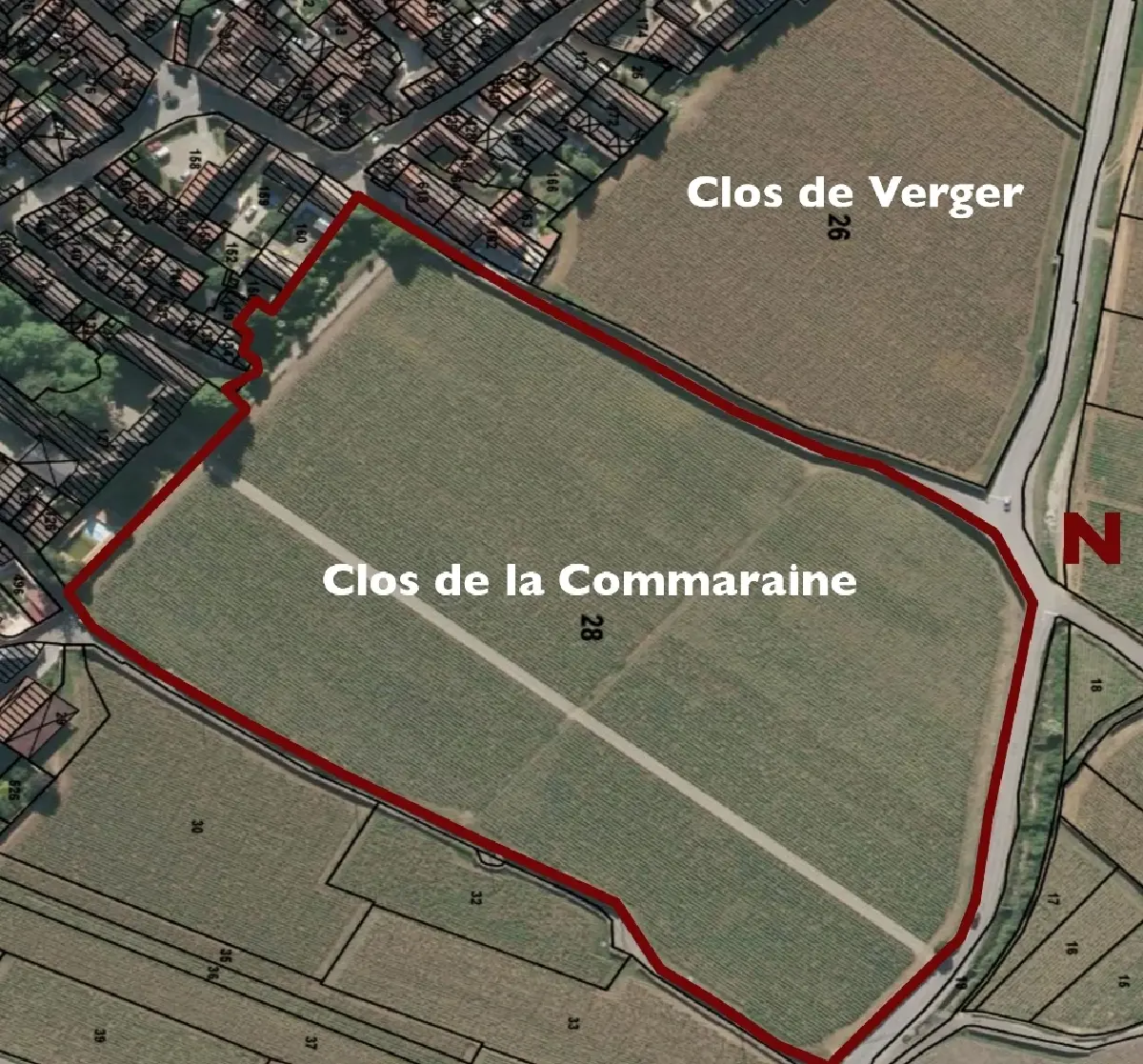 โดเมน เดอ ลา กอมมาเฮรน อัญมณีแห่งเบอร์กันดี