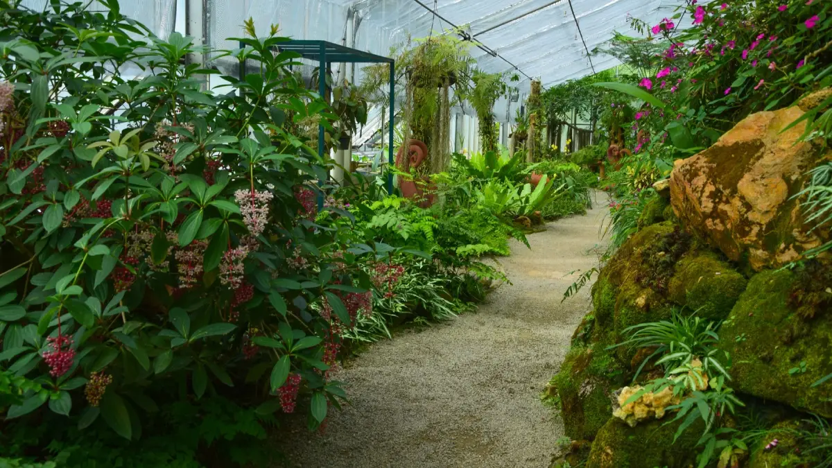 ชวนเที่ยว ‘สวนพฤกษศาสตร์สมเด็จพระนางเจ้าสิริกิติ์’ จ.เชียงใหม่