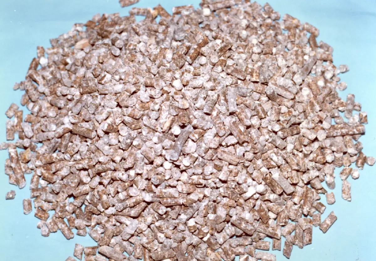 พาณิชย์ เผย มันอัดเม็ดไทย 2 หมื่นตัน ออเดอร์แรกในประวัติศาสตร์ถึงท่าเรือดัม ซาอุดีอาระเบียแล้ว