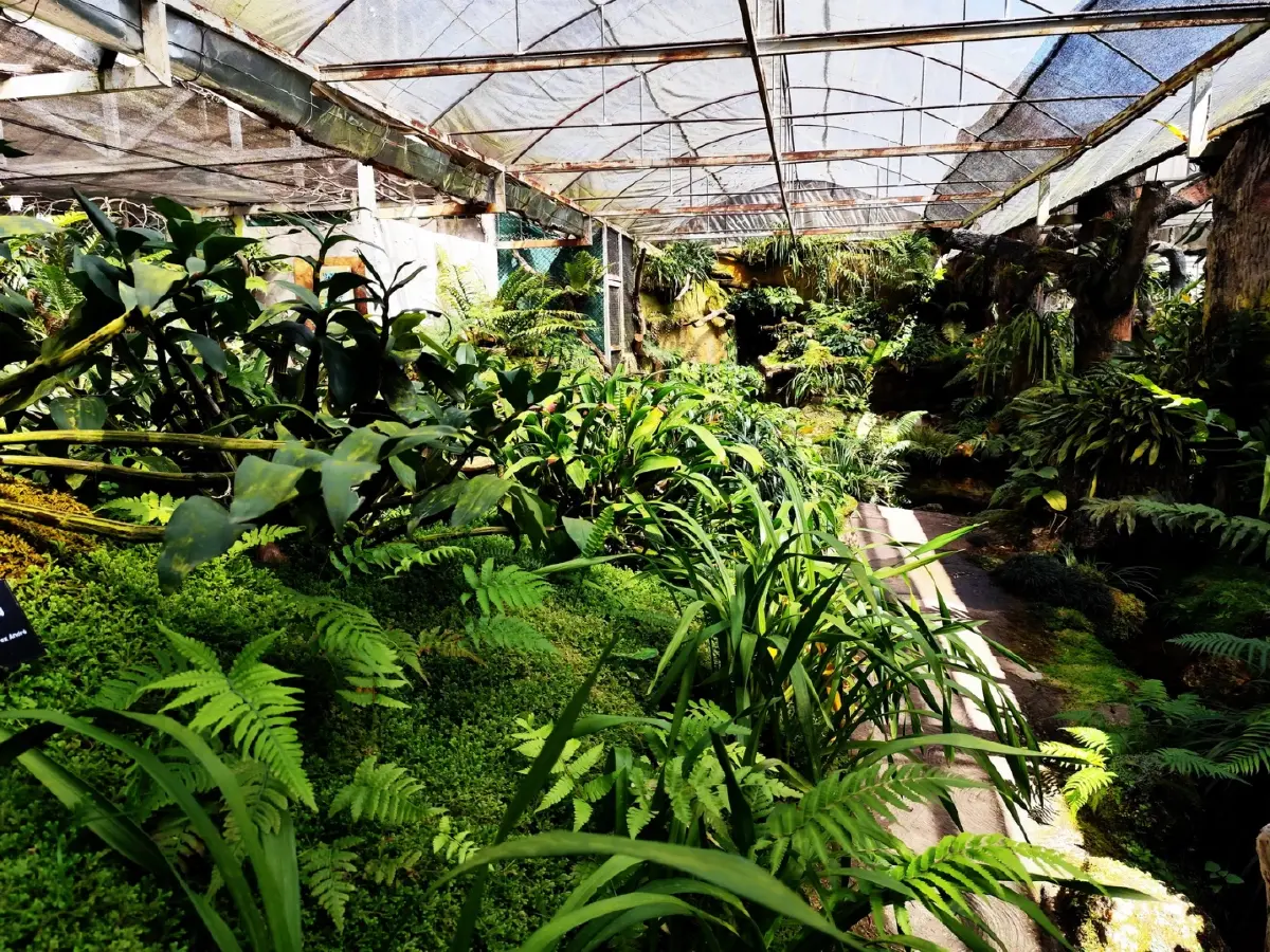 ด้วยพระบารมี... ‘รองเท้านารี’ จึงอยู่คู่ป่าไทย