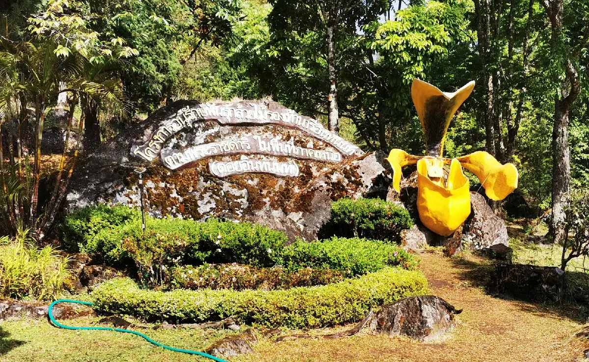 ด้วยพระบารมี... ‘รองเท้านารี’ จึงอยู่คู่ป่าไทย