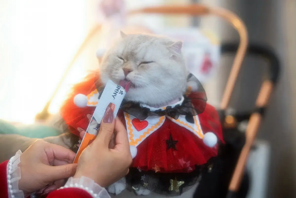 'เจอร์ไฮ' และ 'จินนี่' ชูนวัตกรรมอาหารสัตว์เลี้ยงตอบโจทย์ตลาดพรีเมียม