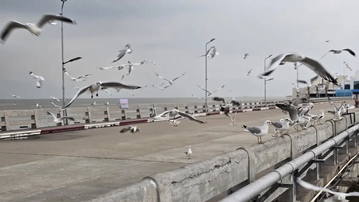 ชวนเที่ยว ใกล้กรุง 'พิพิธภัณฑ์ช้างเอราวัณ-บางปู' ด้วยรถไฟฟ้า BTS