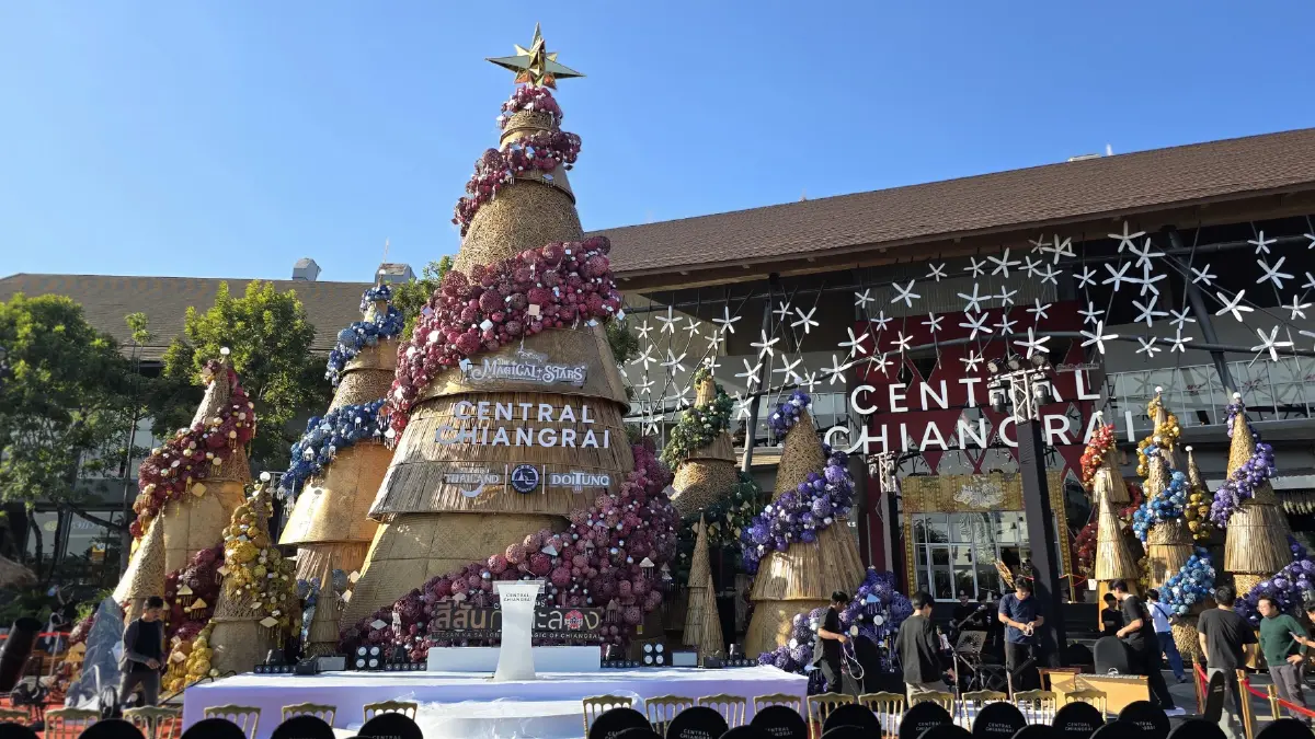 เปิดไฟ ‘ต้นคริสต์มาสหมอกพันวา’ เทศกาลสีสันกาสะลอง 2025 เทิดพระเกียรติ 'สมเด็จพระพันปีหลวง'