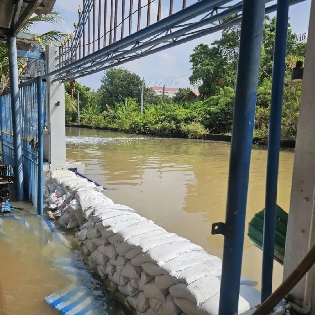 ปชน.รวมความเห็น สส.ลงพื้นที่น้ำท่วม ชงรัฐบาลแก้ 3 ข้อเยียวยา