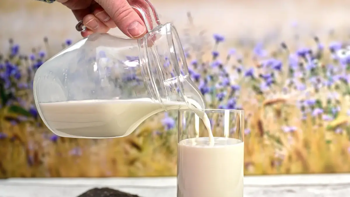 เข้าใจเรื่อง ‘นมวัว’ พาสเจอร์ไรซ์ สเตอริไลซ์ ยูเอชที ต่างกันอย่างไร