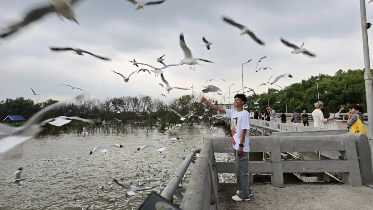 ชวนเที่ยว ใกล้กรุง 'พิพิธภัณฑ์ช้างเอราวัณ-บางปู' ด้วยรถไฟฟ้า BTS