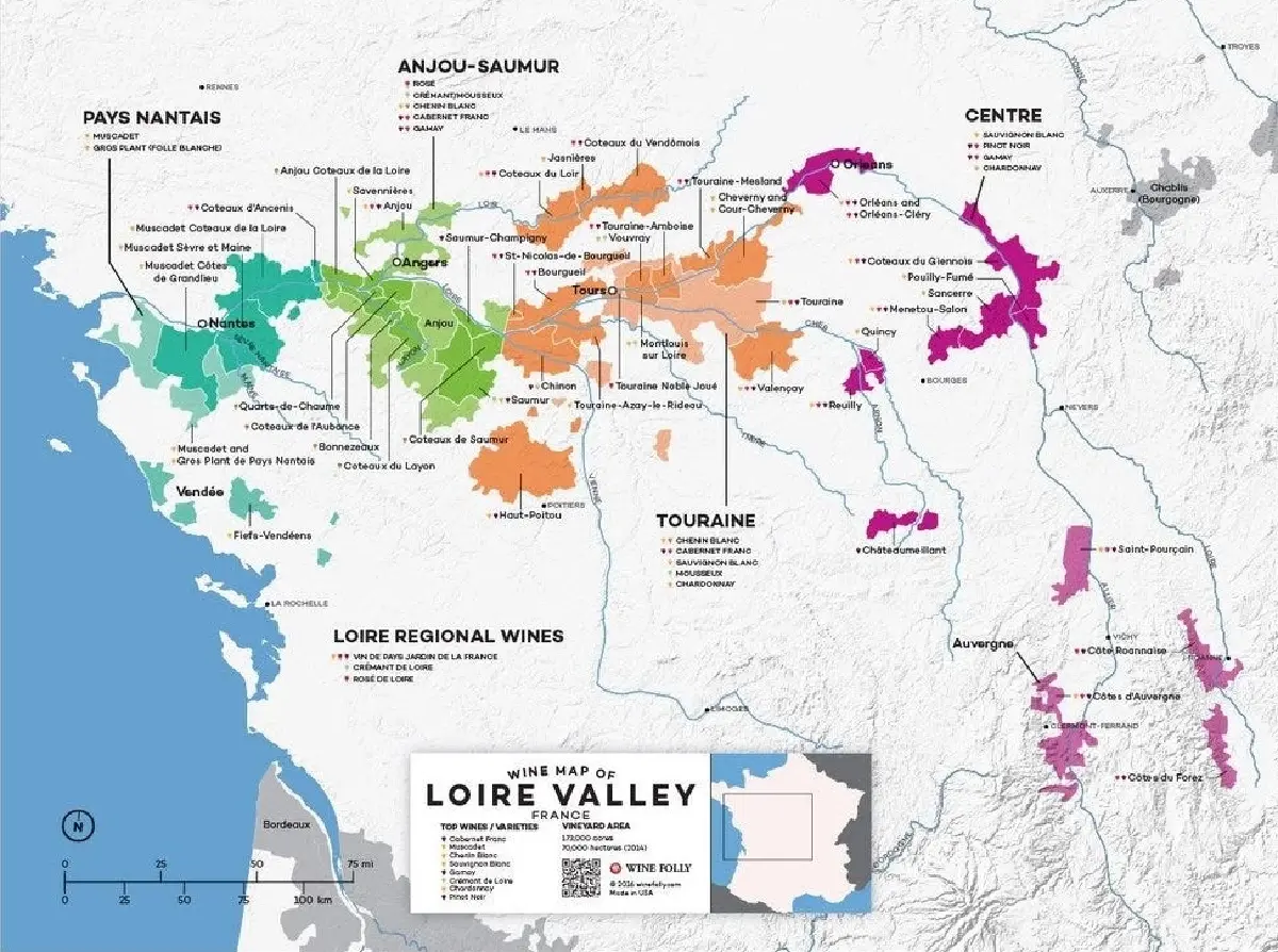 ลัวร์ แวลลีย์ (Loire Valley) มนต์เสน่ห์แห่งไวน์และปราสาท