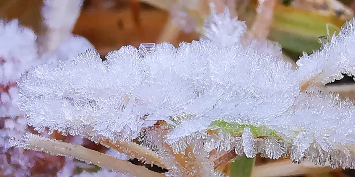 ดอยอินทนนท์ หนาวมาก 2°C นักท่องเที่ยวสัมผัสอากาศหนาว ดูแม่คะนิ้ง