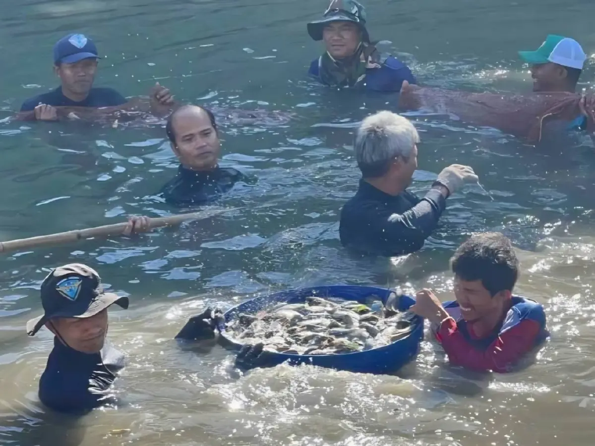 กรมประมง เผยผลสำรวจปลาหมอคางดำลดลงชัดเจน สะท้อนผลสำเร็จมาตรการบูรณาการทั่วประเทศ