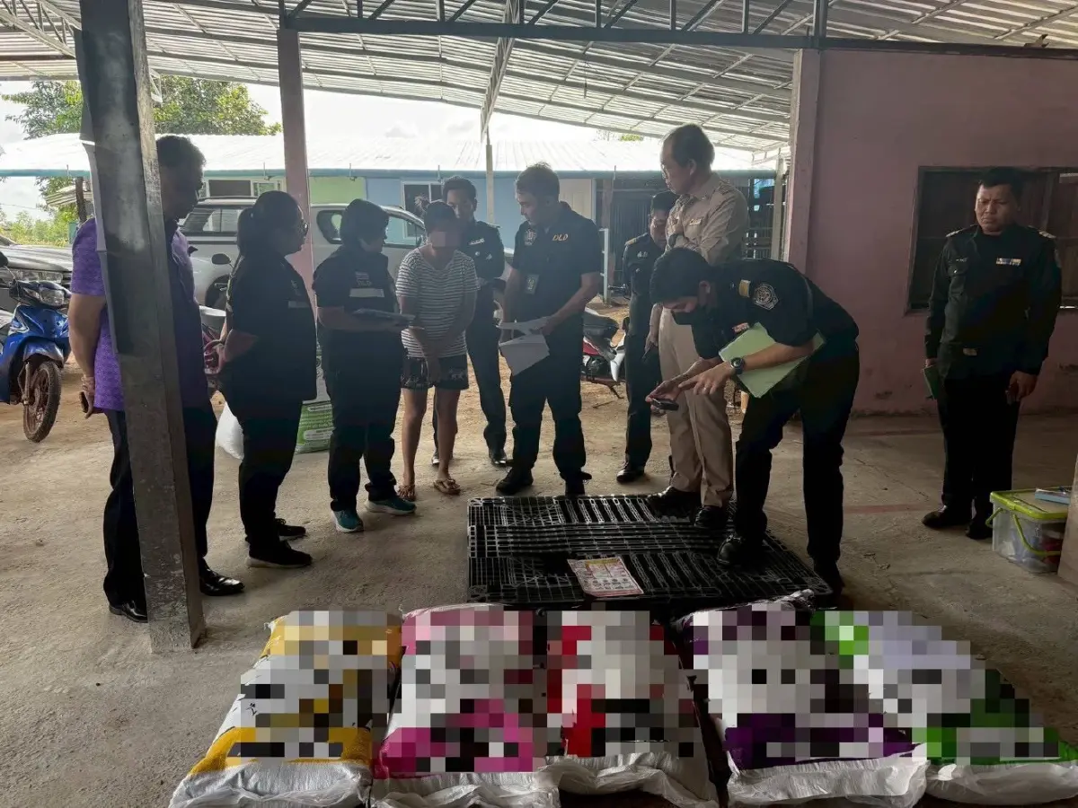 ปศุสัตว์บุกจับอาหารสัตว์เถื่อน  จ. อำนาจเจริญ​ ขายผ่าน​ออนไลน์​ อายัดได้กว่า 400 กระสอบ