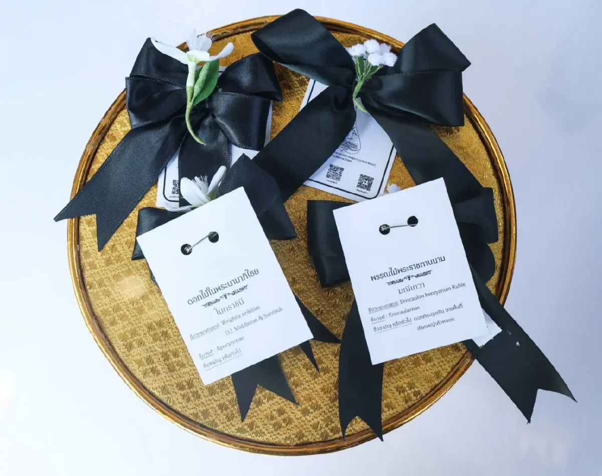 สมเด็จพระเจ้าลูกเธอ เจ้าฟ้าสิริวัณณวรี นารีรัตนราชกัญญา พระราชทานเข็มกลัดริบบิ้นสีดำแก่ประชาชนที่มาเข้ากราบถวายบังคมพระบรมศพ