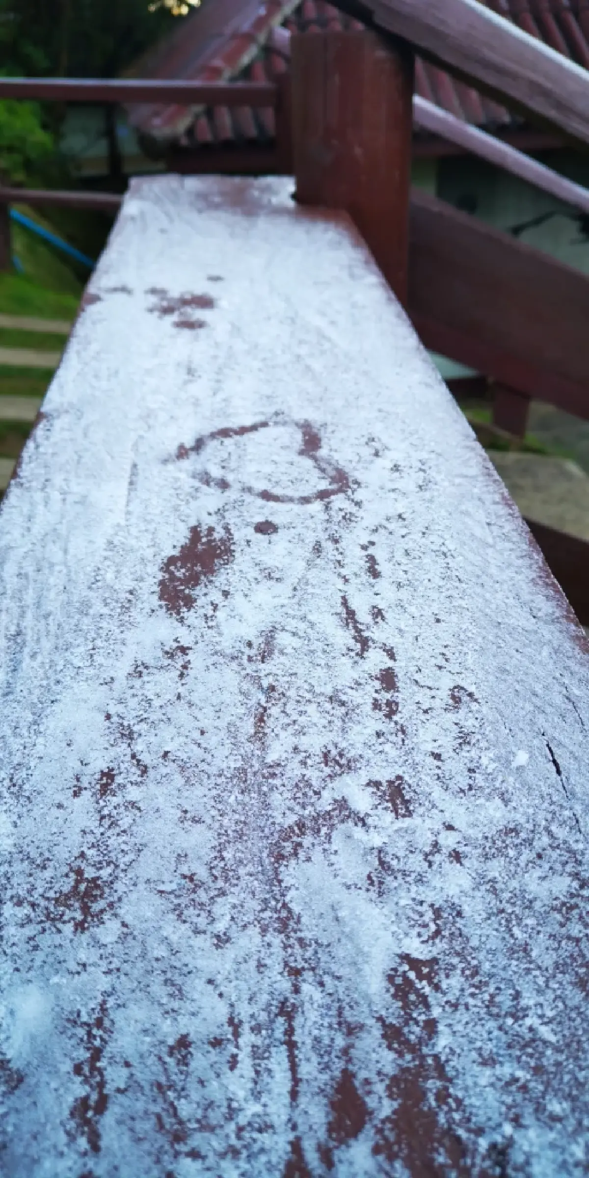 ดอยอินทนนท์ หนาวมาก 2°C นักท่องเที่ยวสัมผัสอากาศหนาว ดูแม่คะนิ้ง