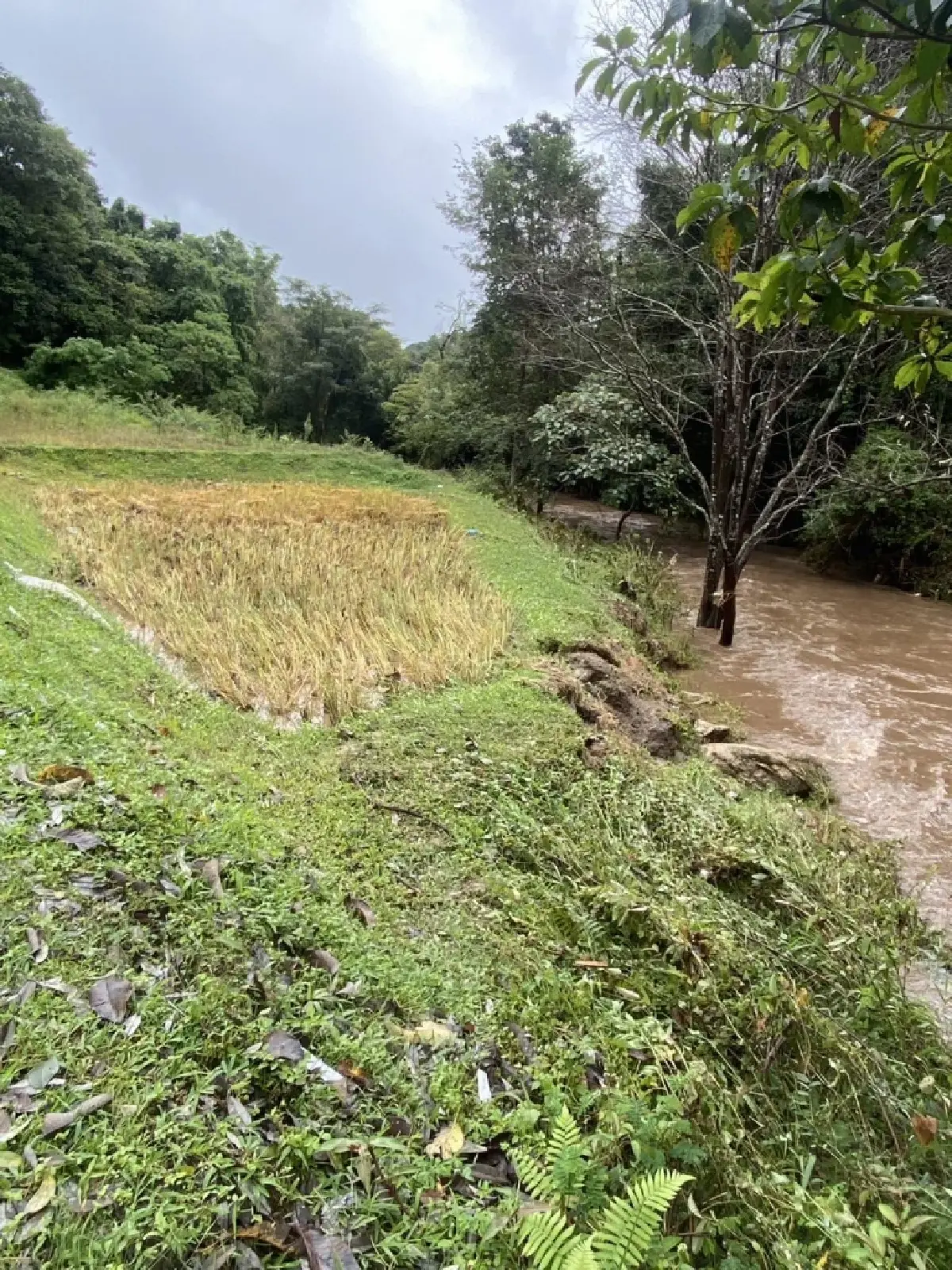 อันตรายฝนถล่ม จอมทอง เชียงใหม่ สั่งปิดน้ำตกแม่กลาง-ผาดอกเสี้ยว