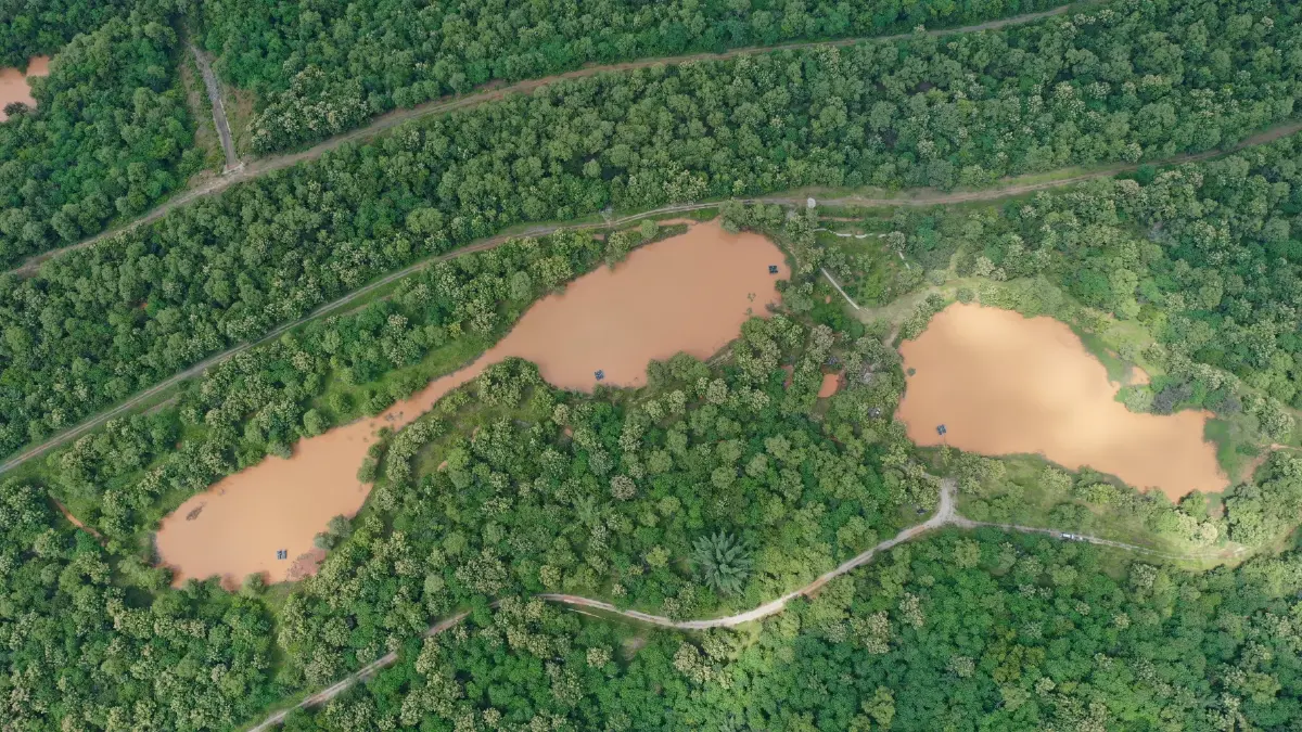 กฟผ. ฟื้นฟูป่าคืนถิ่น ดันขึ้นทะเบียน OECMs หนุนเป้า 30x30