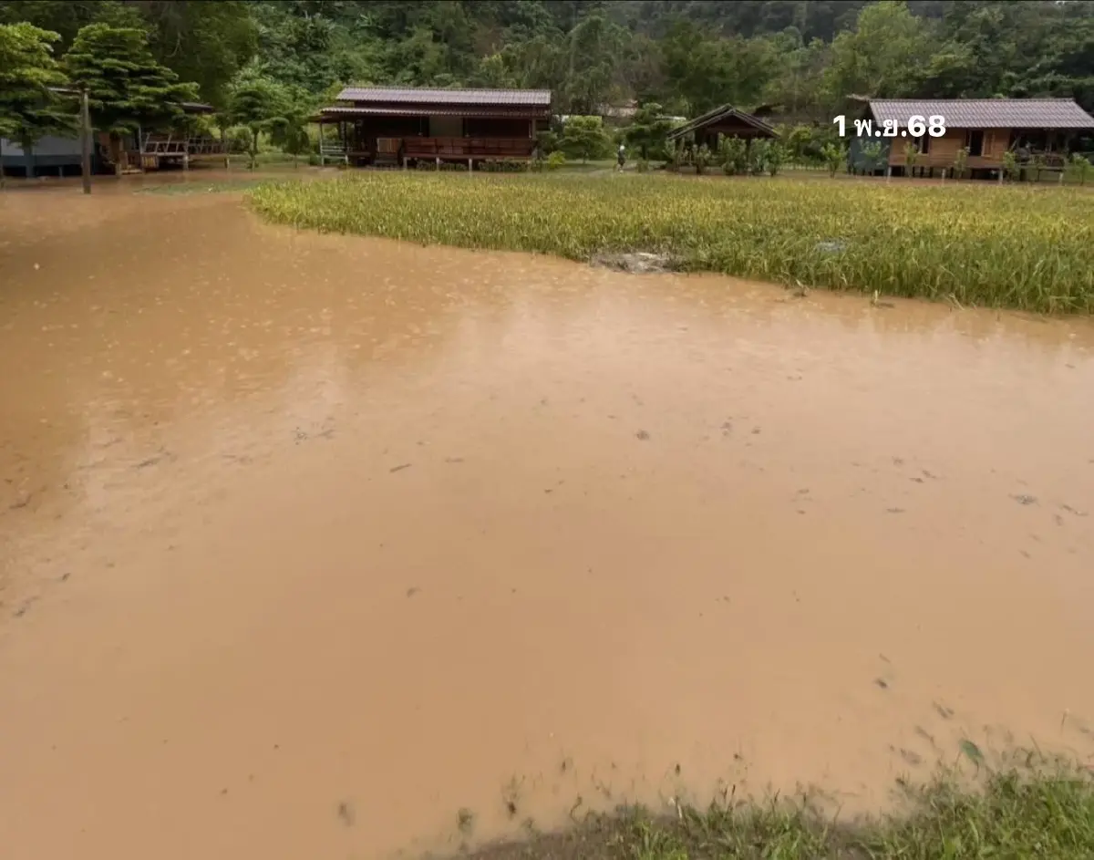 ด่วน ฝนตกหนัก ดอยอินทนนท์ น้ำป่าถล่ม แม่กลางหลวง นาขั้นบันไดจมมิด