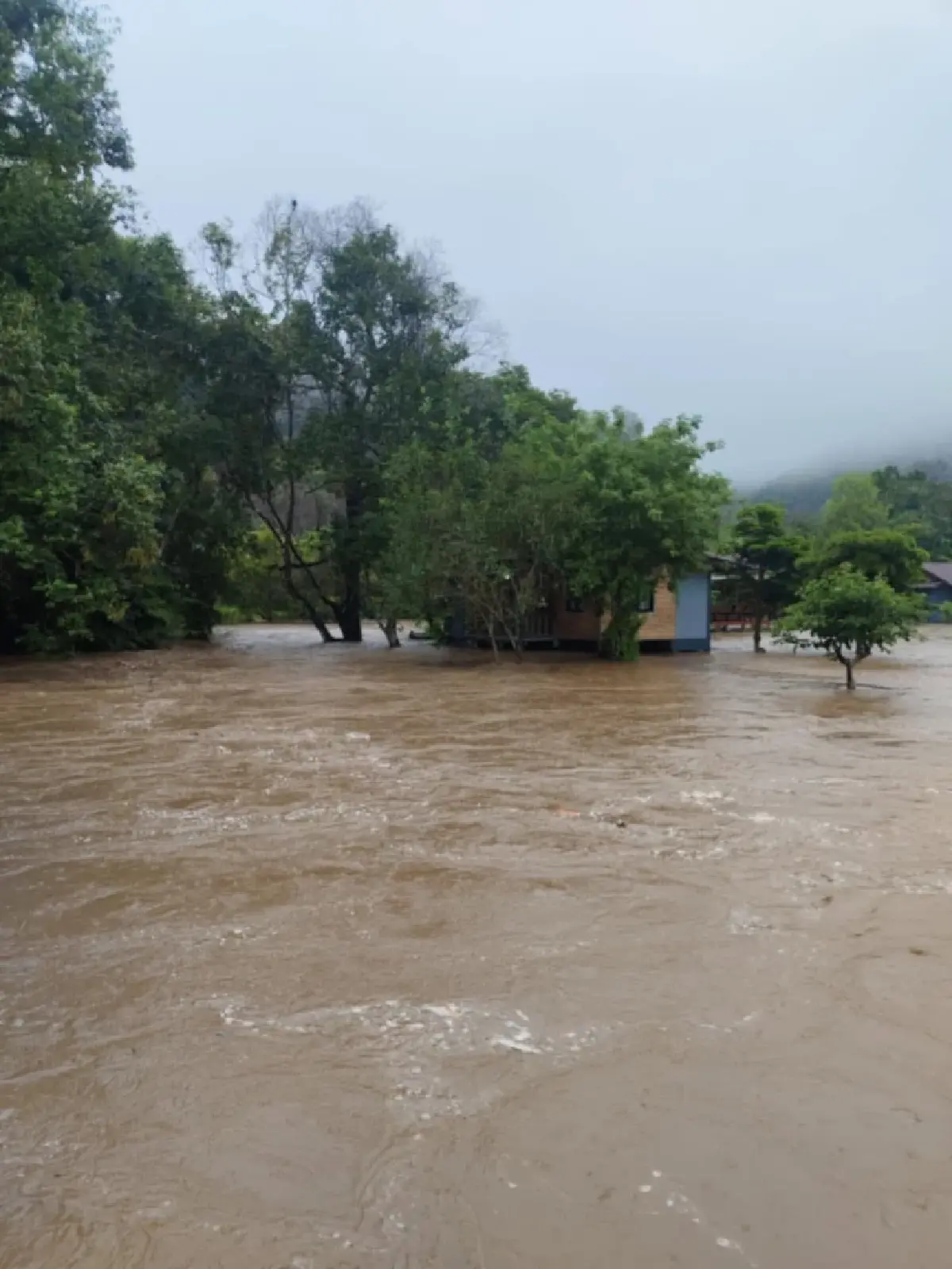 ด่วน ฝนตกหนัก ดอยอินทนนท์ น้ำป่าถล่ม แม่กลางหลวง นาขั้นบันไดจมมิด