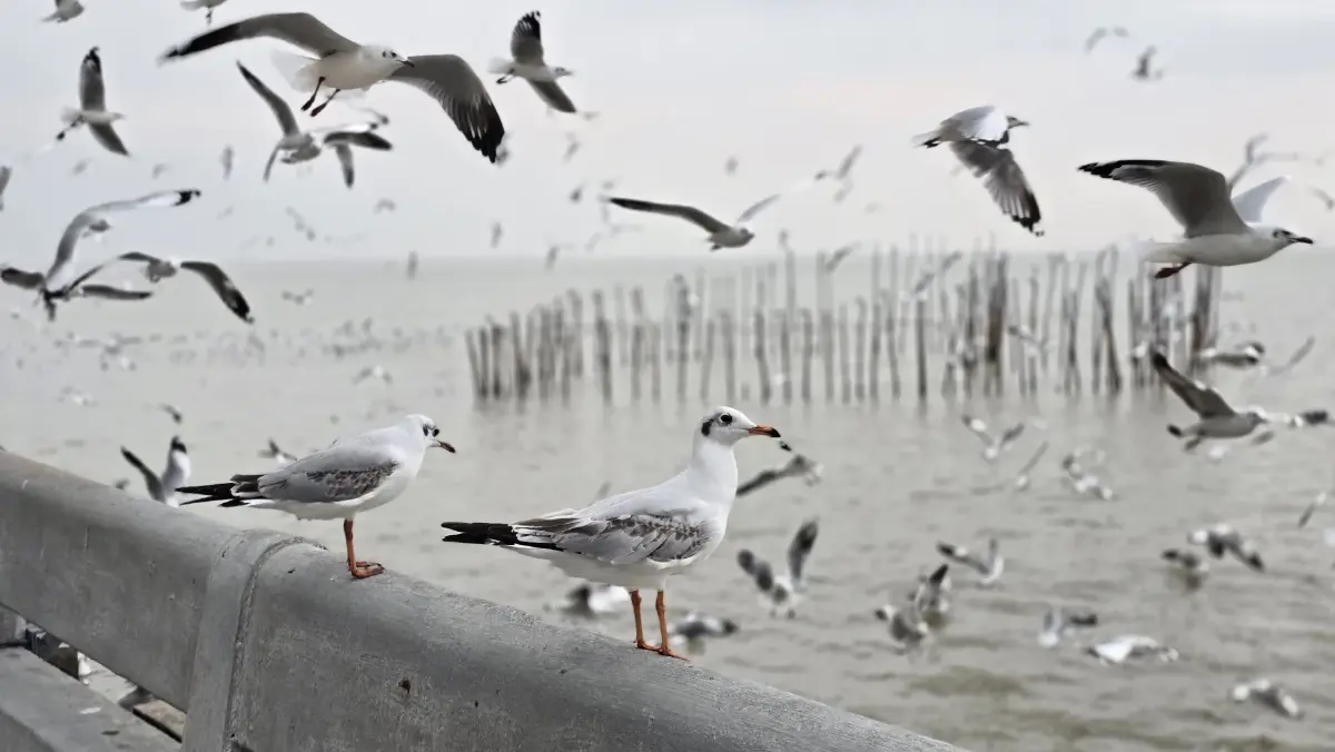 ชวนเที่ยว ใกล้กรุง 'พิพิธภัณฑ์ช้างเอราวัณ-บางปู' ด้วยรถไฟฟ้า BTS