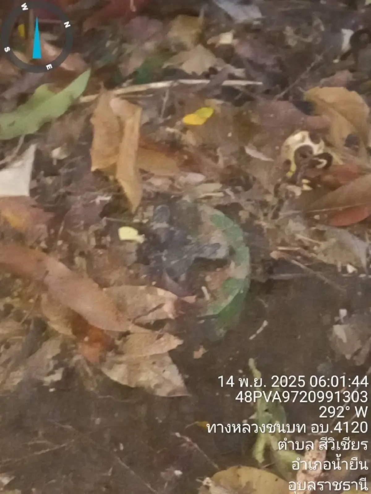 'ทบ.-กองทัพไทย' พบอีกทุ่นระเบิด ช่องอานม้า-บ้านชำราก หวังบึ้มทหารไทย