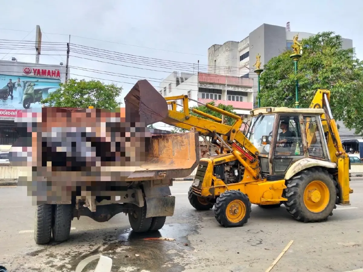 น้ำท่วมภาคใต้ สัตว์เล็ก-ใหญ่ตายเกลื่อน เร่งเก็บซากฝังกลบ ป้องกันโรคระบาด