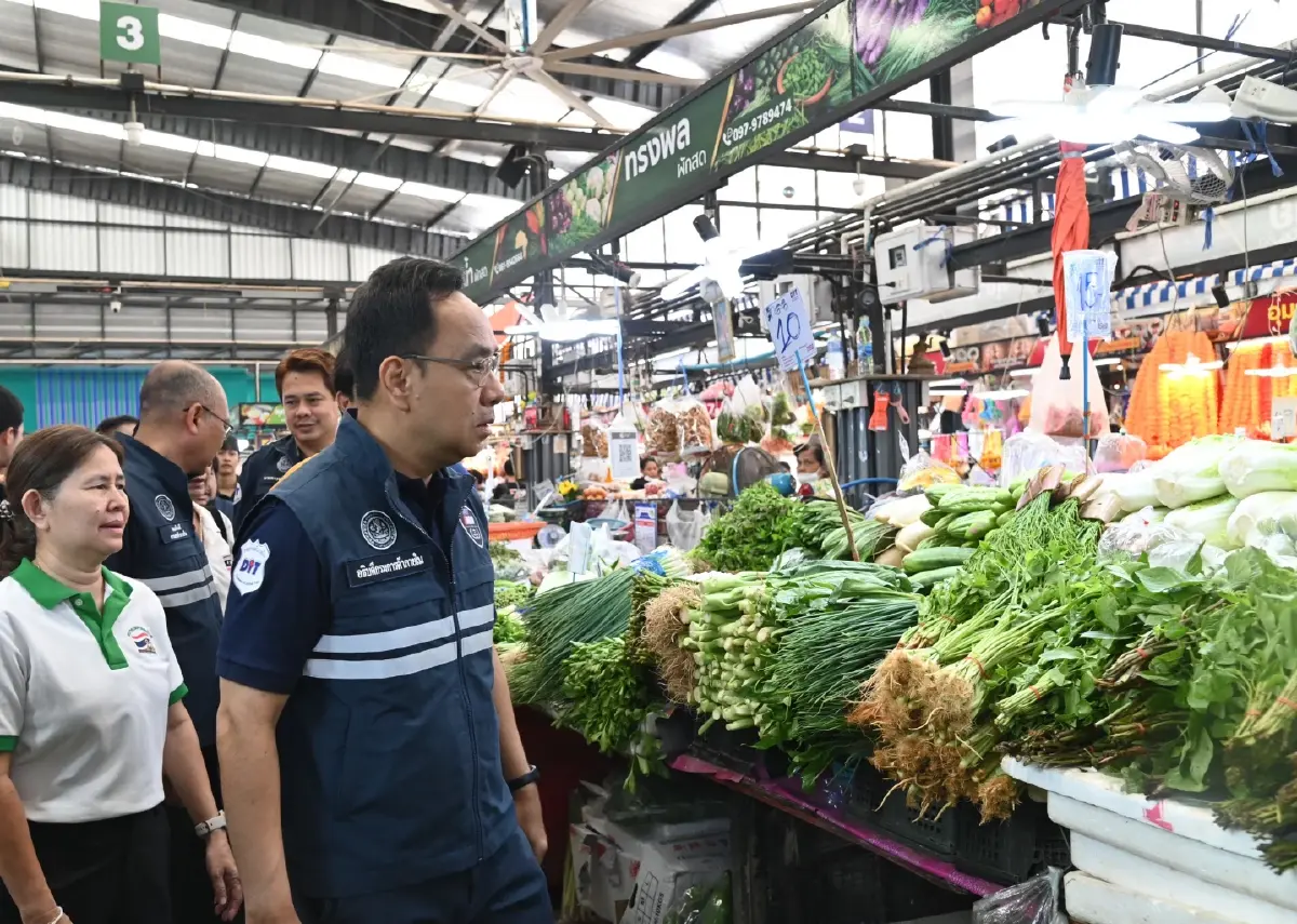 ผักชีราคาพุ่งทะลุ 250 บาทต่อกก.กรมการค้าภายใน  ชี้! ผลผลิตเสียหายจากฝน