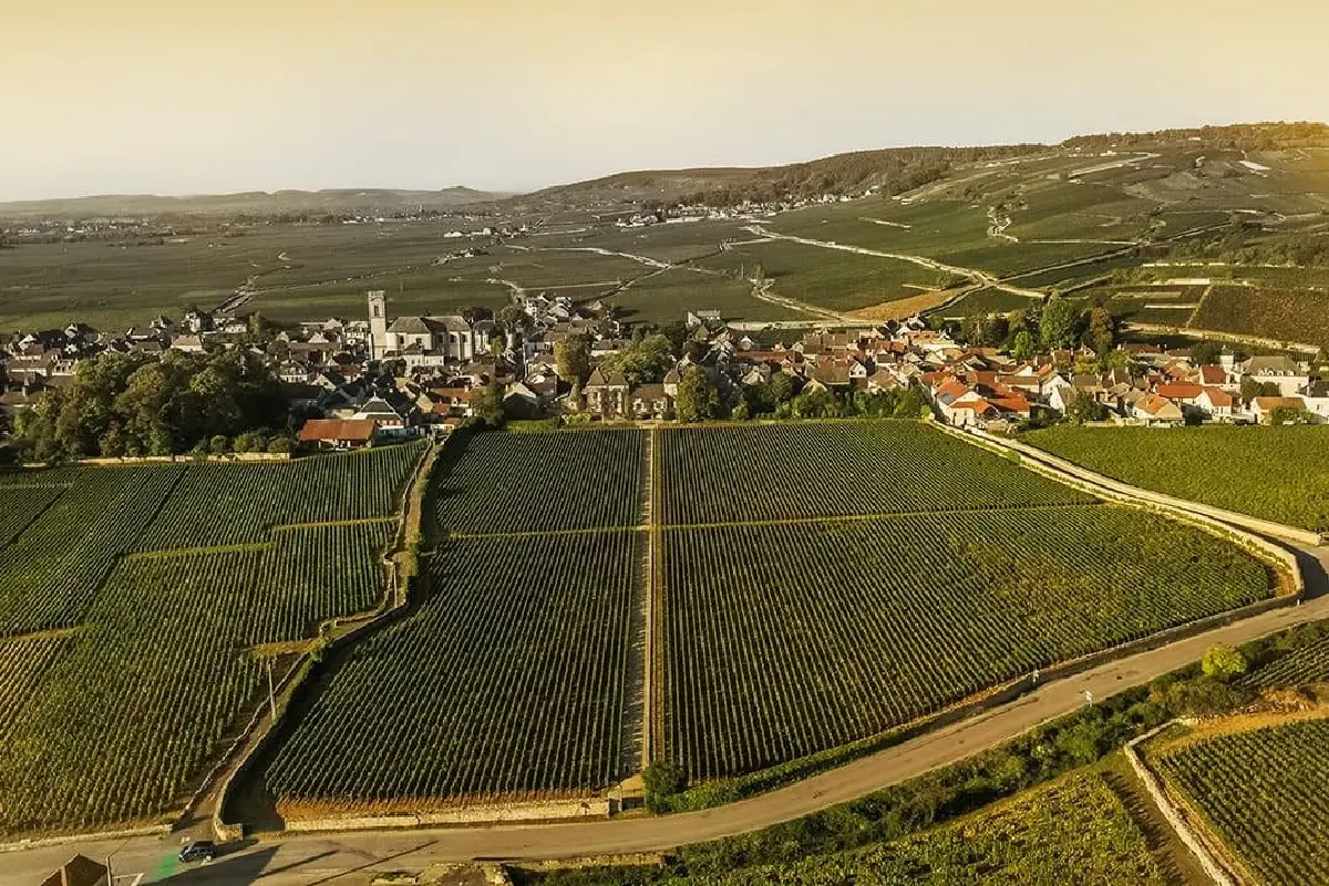 โดเมน เดอ ลา กอมมาเฮรน อัญมณีแห่งเบอร์กันดี