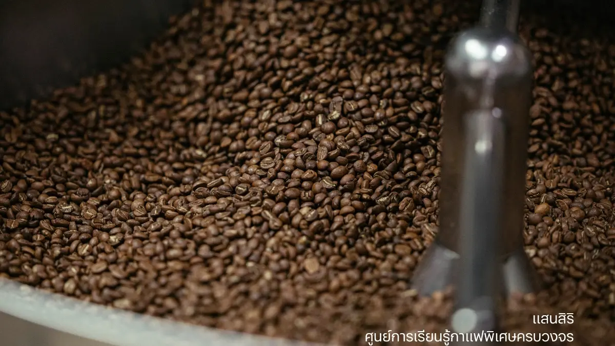 'ศูนย์การเรียนรู้กาแฟพิเศษครบวงจร' โปรเจกต์ธุรกิจเพื่อสังคมที่ยั่งยืน