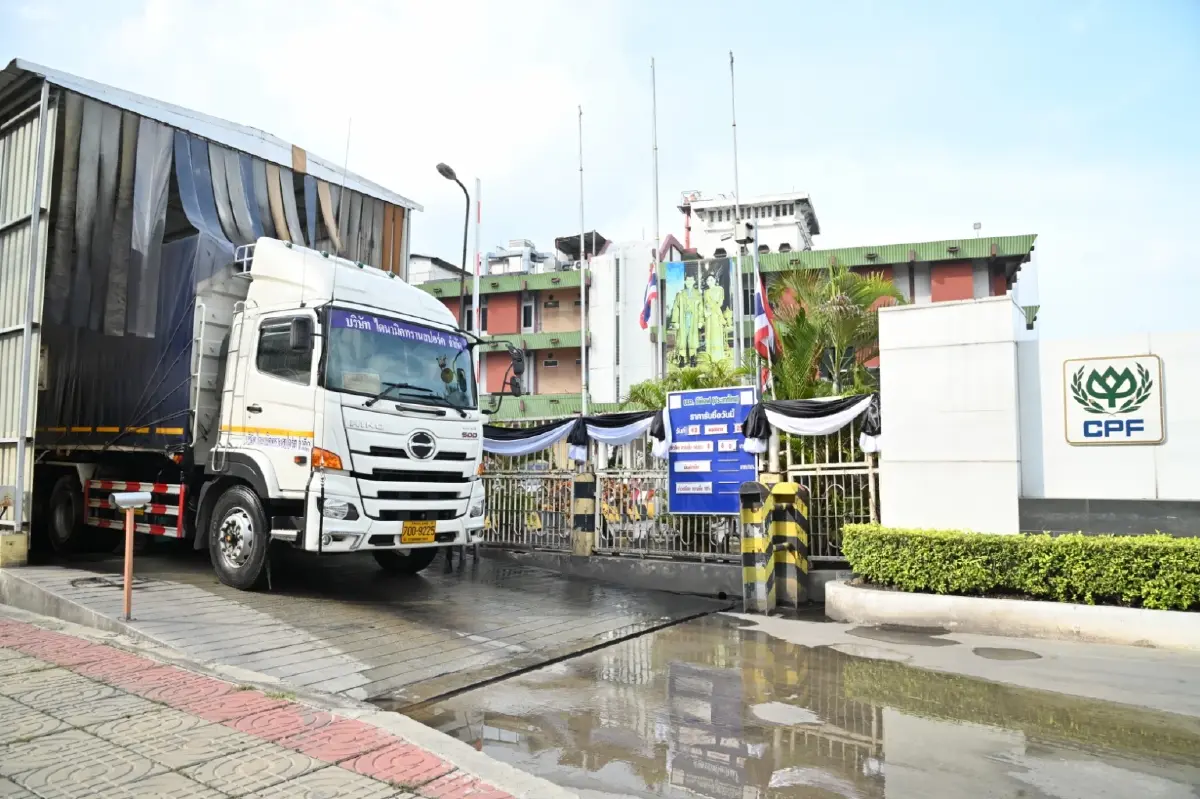 ซีพีเอฟ เลือกซื้อข้าวโพดในประเทศเป็นหลัก ขาดแคลนค่อยนำเข้า