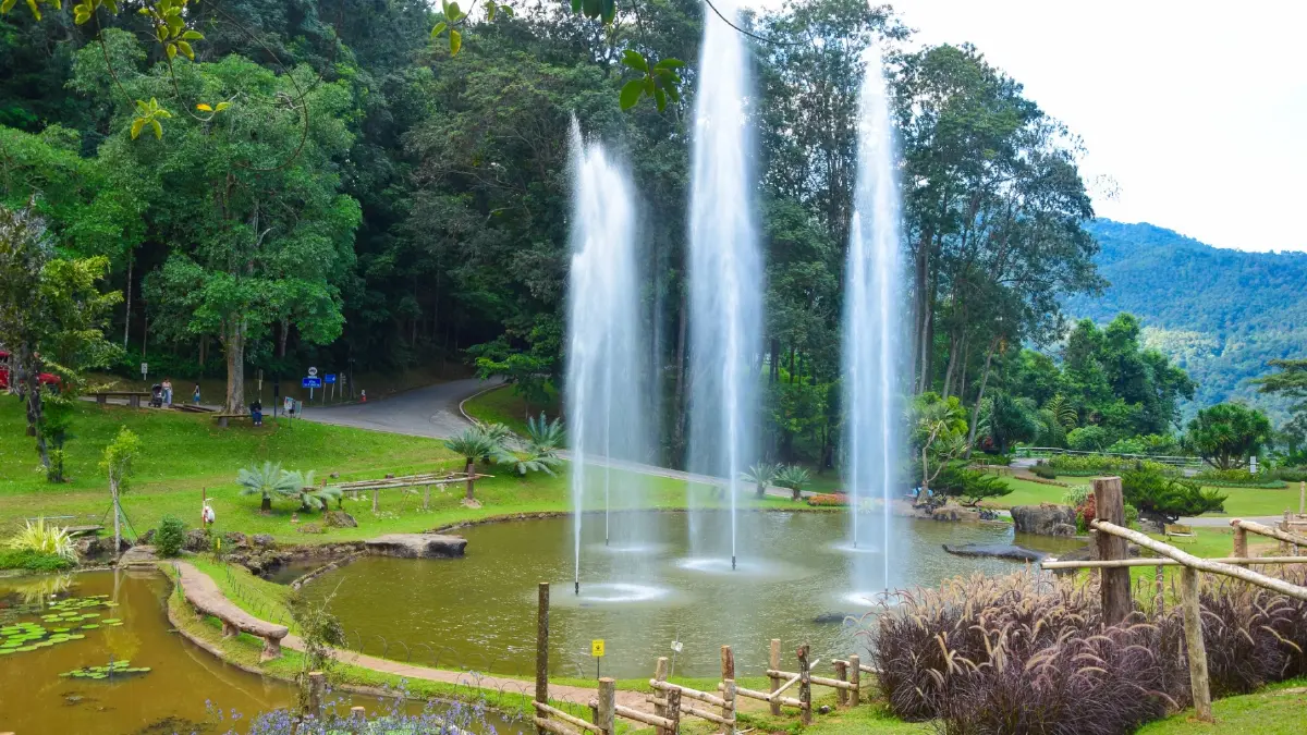 ชวนเที่ยว ‘สวนพฤกษศาสตร์สมเด็จพระนางเจ้าสิริกิติ์’ จ.เชียงใหม่