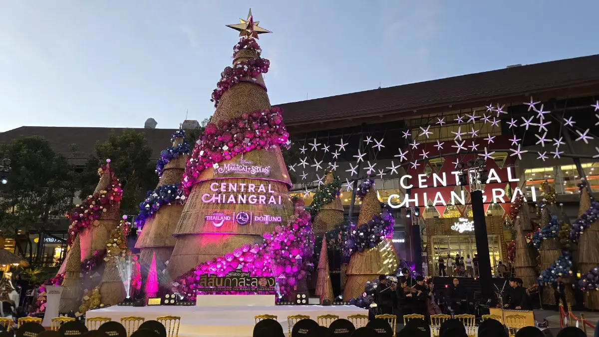 เปิดไฟ ‘ต้นคริสต์มาสหมอกพันวา’ เทศกาลสีสันกาสะลอง 2025 เทิดพระเกียรติ 'สมเด็จพระพันปีหลวง'