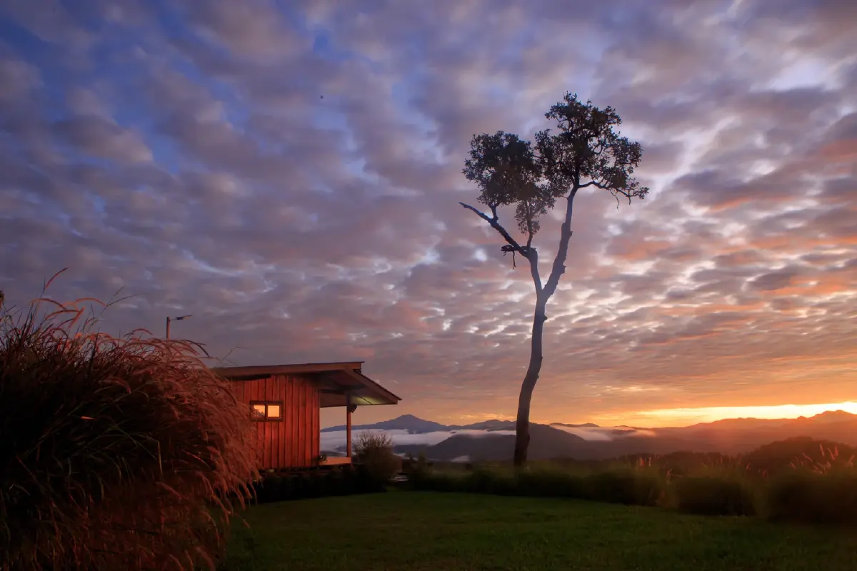 ไม่มากมาย แค่มากพอ หนาวนี้ที่เฝ้ารอ 'เด๊อะ ทะ คอ'