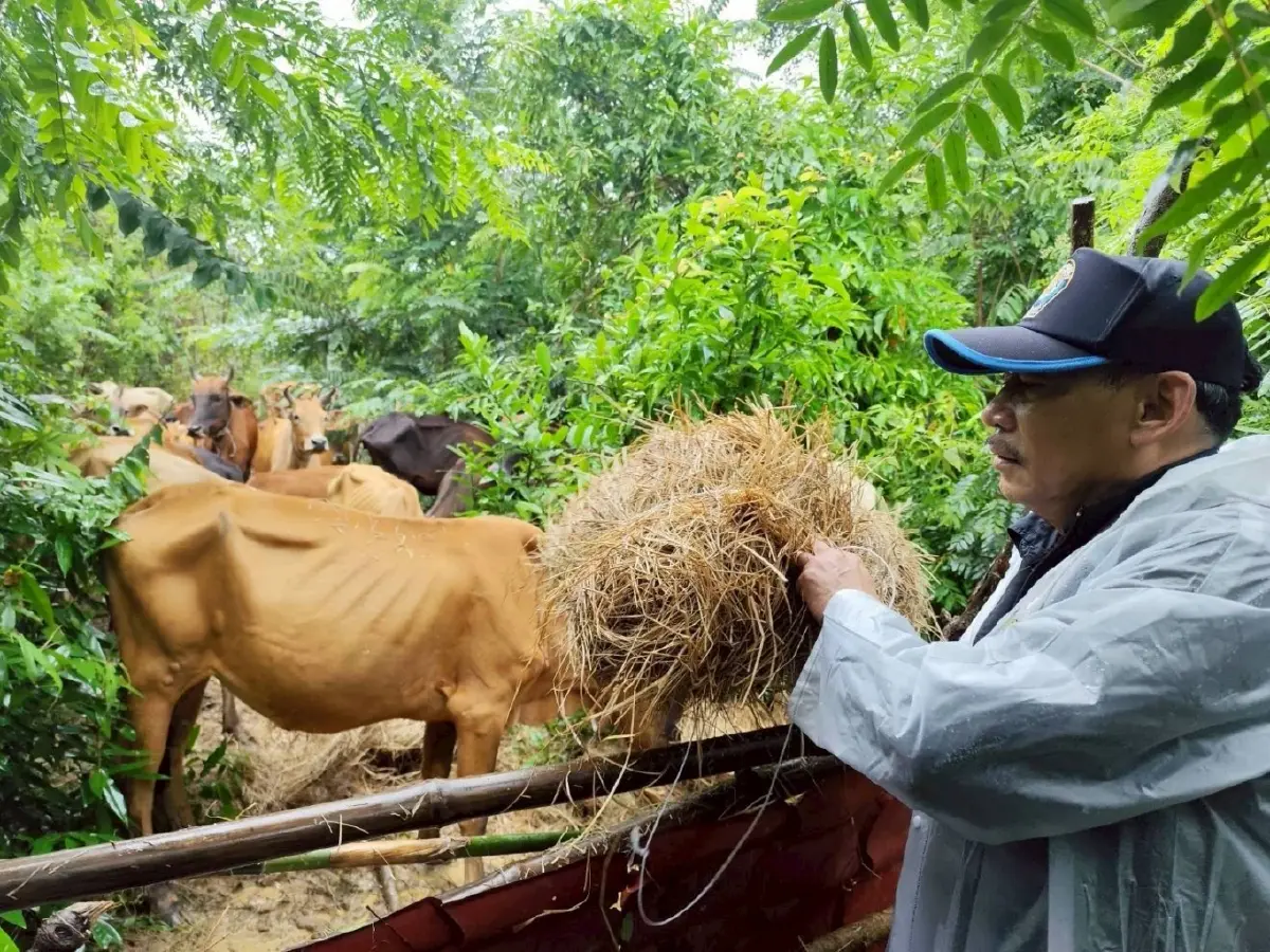 เกษตรฯลงอันดามัน เร่งช่วยผู้ประสบภัยใต้ สั่งพร้อมรับฝนหนักอีกระรอก ธ.ค. นี้