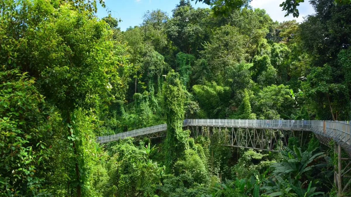 ชวนเที่ยว ‘สวนพฤกษศาสตร์สมเด็จพระนางเจ้าสิริกิติ์’ จ.เชียงใหม่